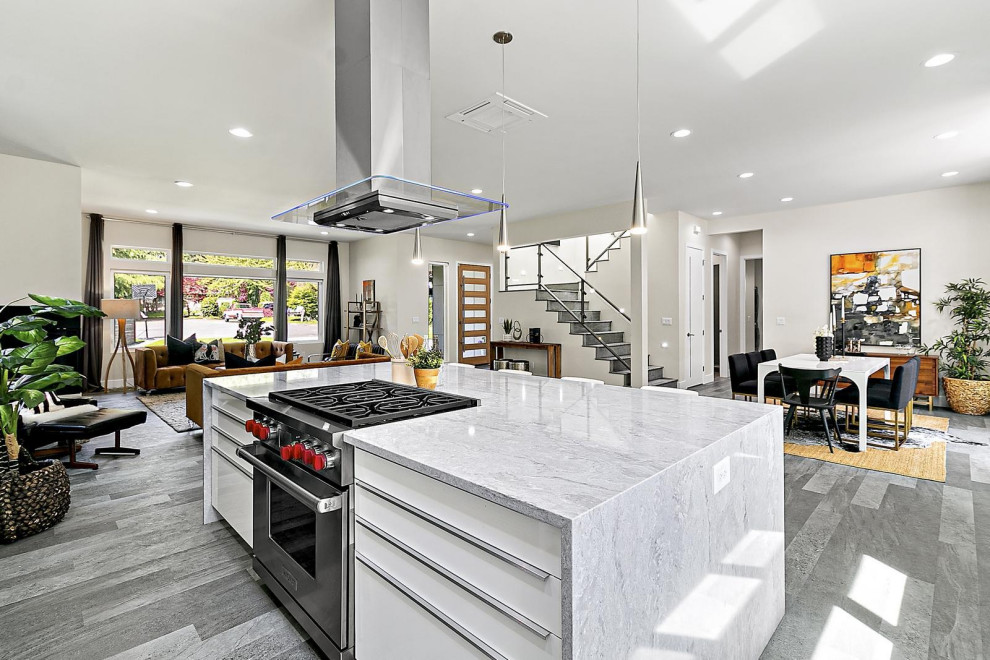 Kirkland Modern Remodel