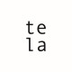 tela architettura
