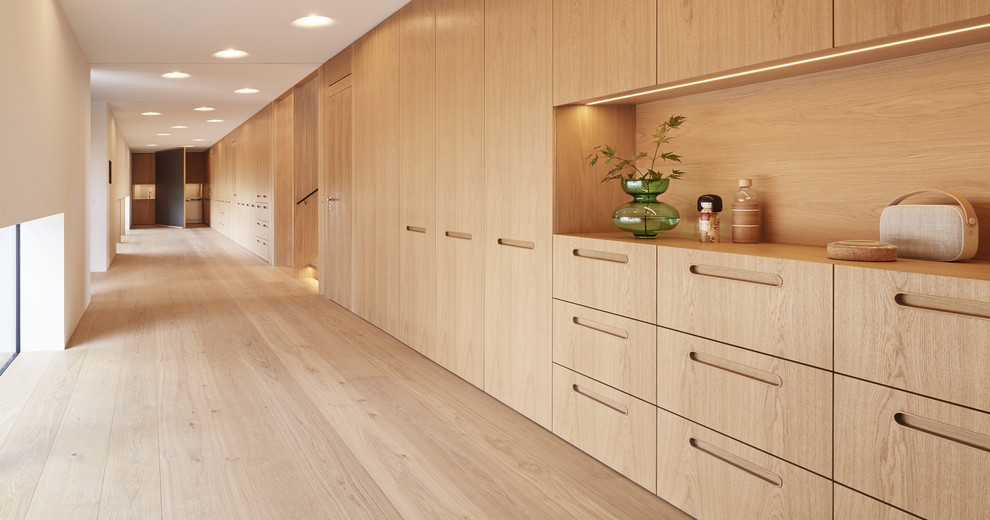 This is an example of a large scandinavian hallway in Other with white walls and light hardwood floors.