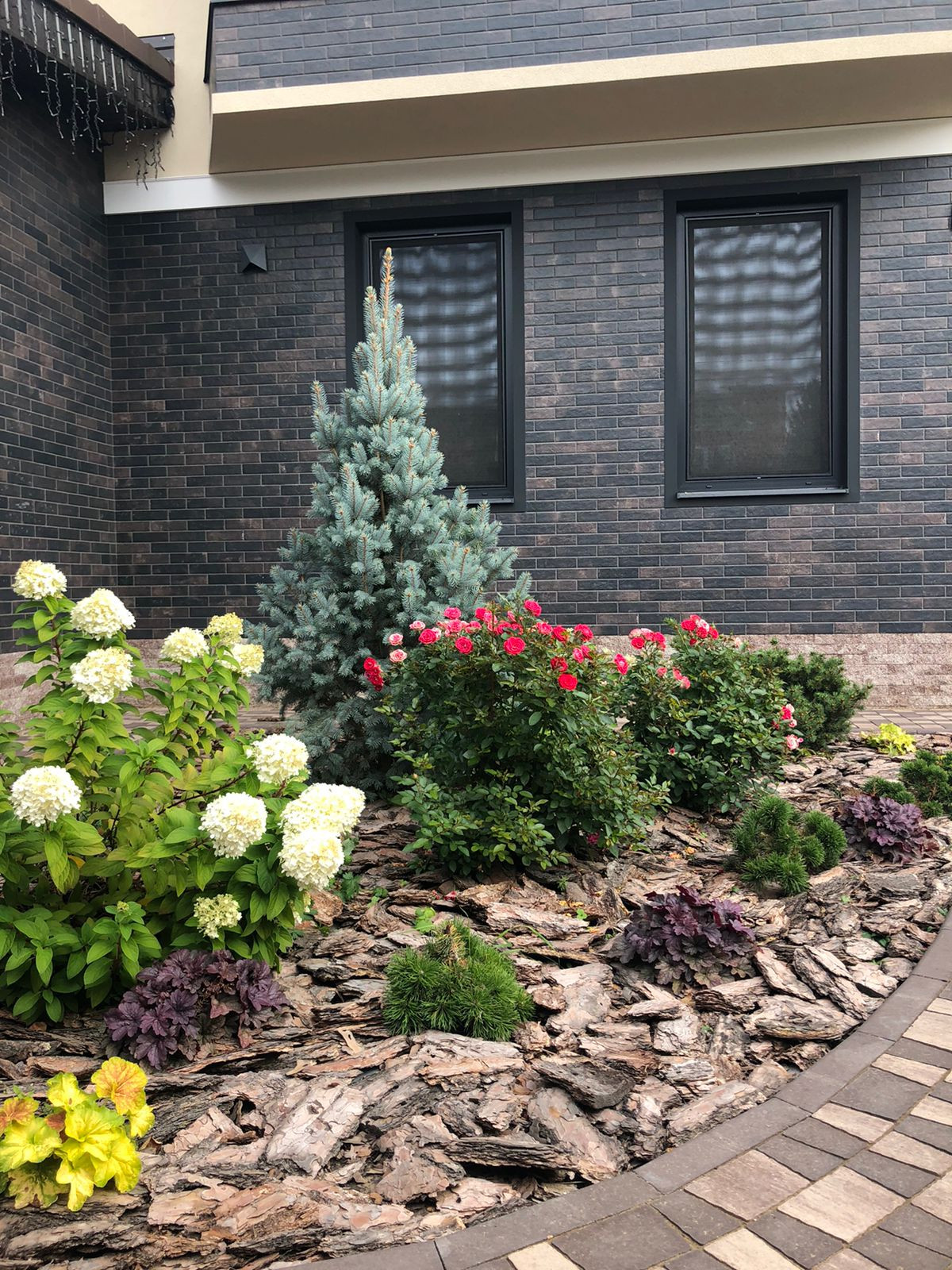 Проект «Новый свет»