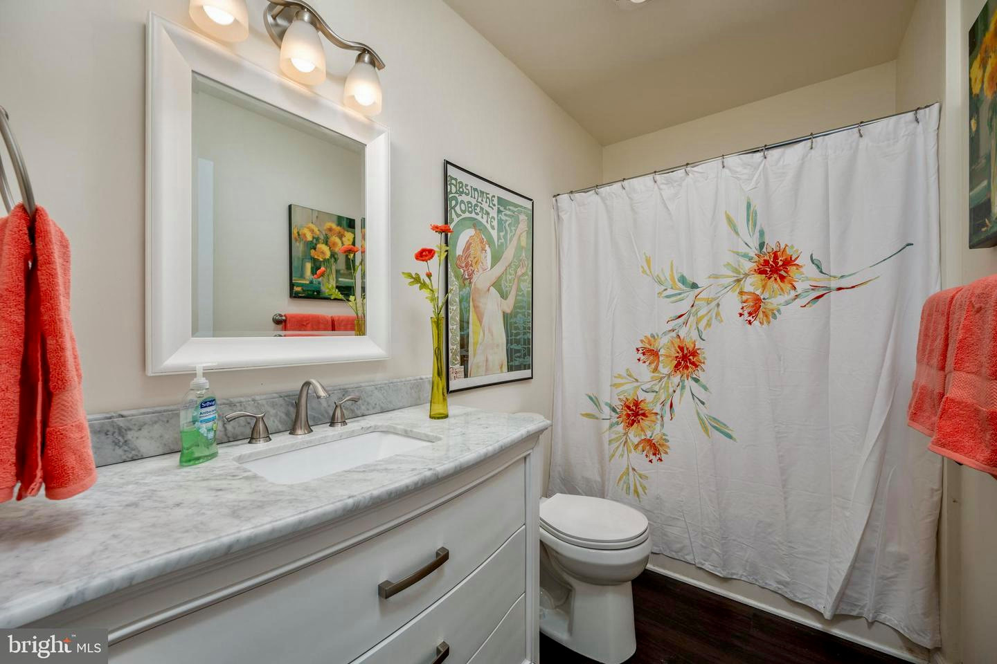 Lewes, DE moving out - mostly vacant home