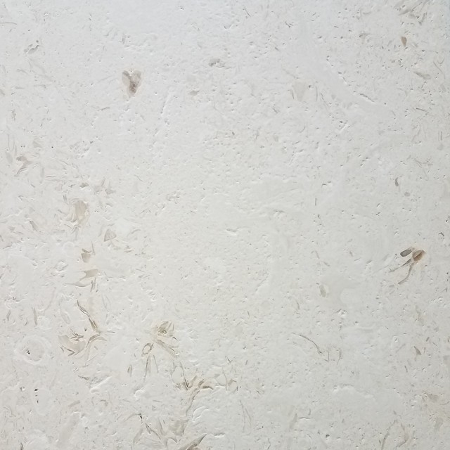 24x24 Limestone Tile (Shell Reef) Natural Stone Floor and Wall Tile