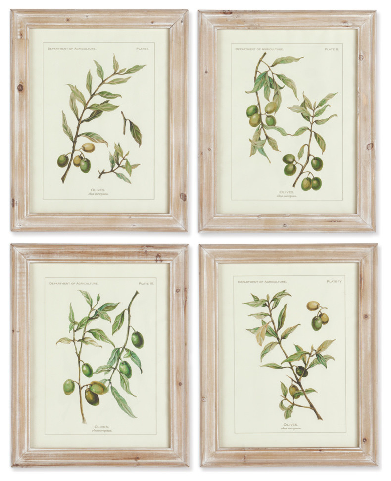 Buy FAST: Napa Home & Garden Framed Olive Leaf Botanical Prints, Set of ...