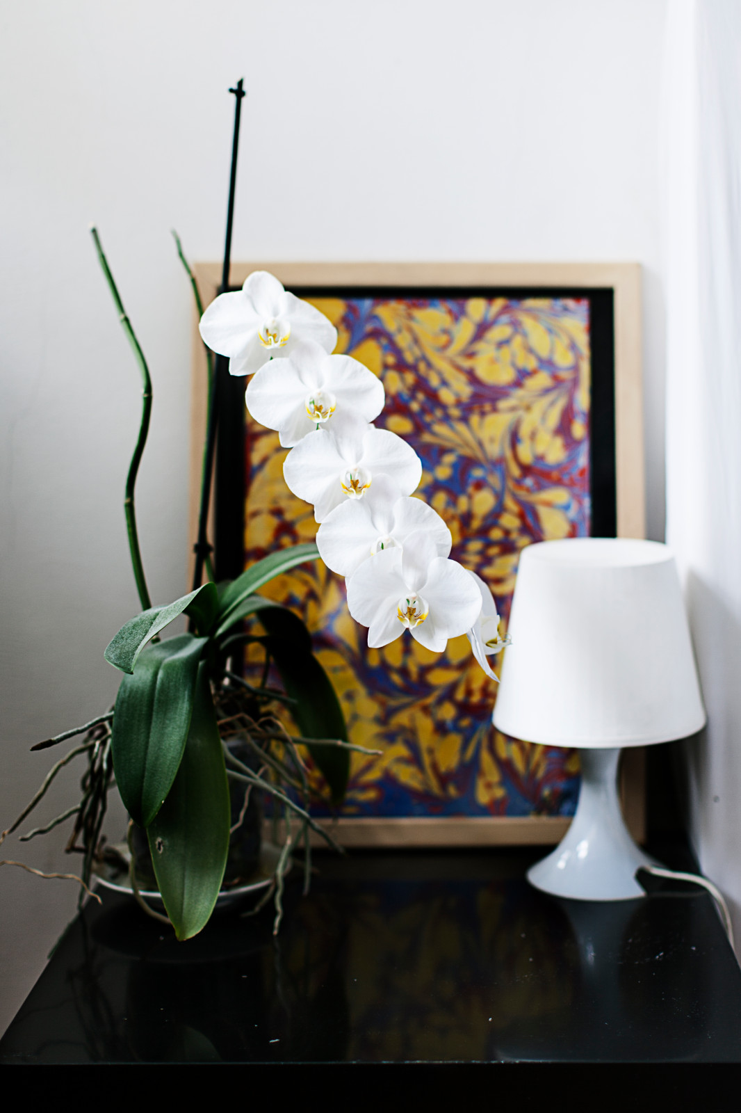 квартира Владимира Архангельского