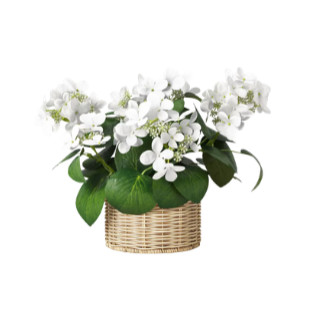 13.5" Potted Hydrangea Outdoor Patio Tabletop Artificial Plant - Threshold™ designed with Studio McGee