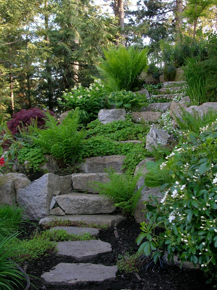 This is an example of a transitional garden in Vancouver.