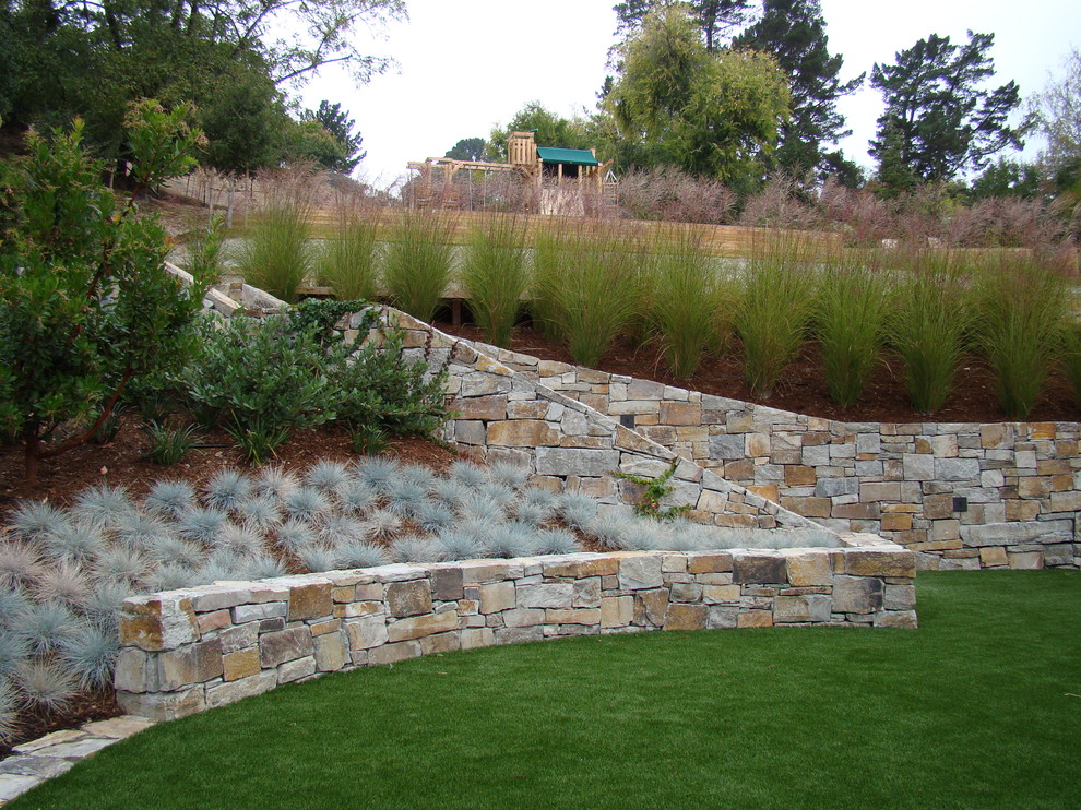 Design ideas for a contemporary backyard garden in San Francisco with a retaining wall.