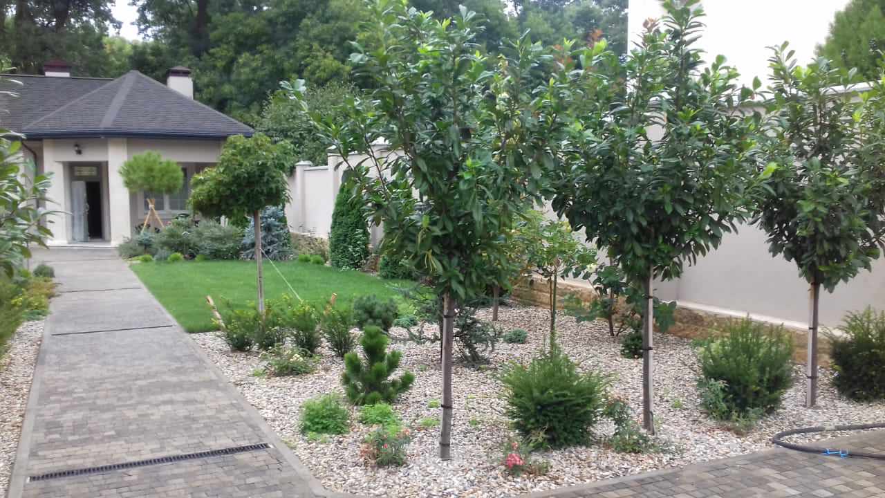 Озеленение частного дома в с.Мысхако