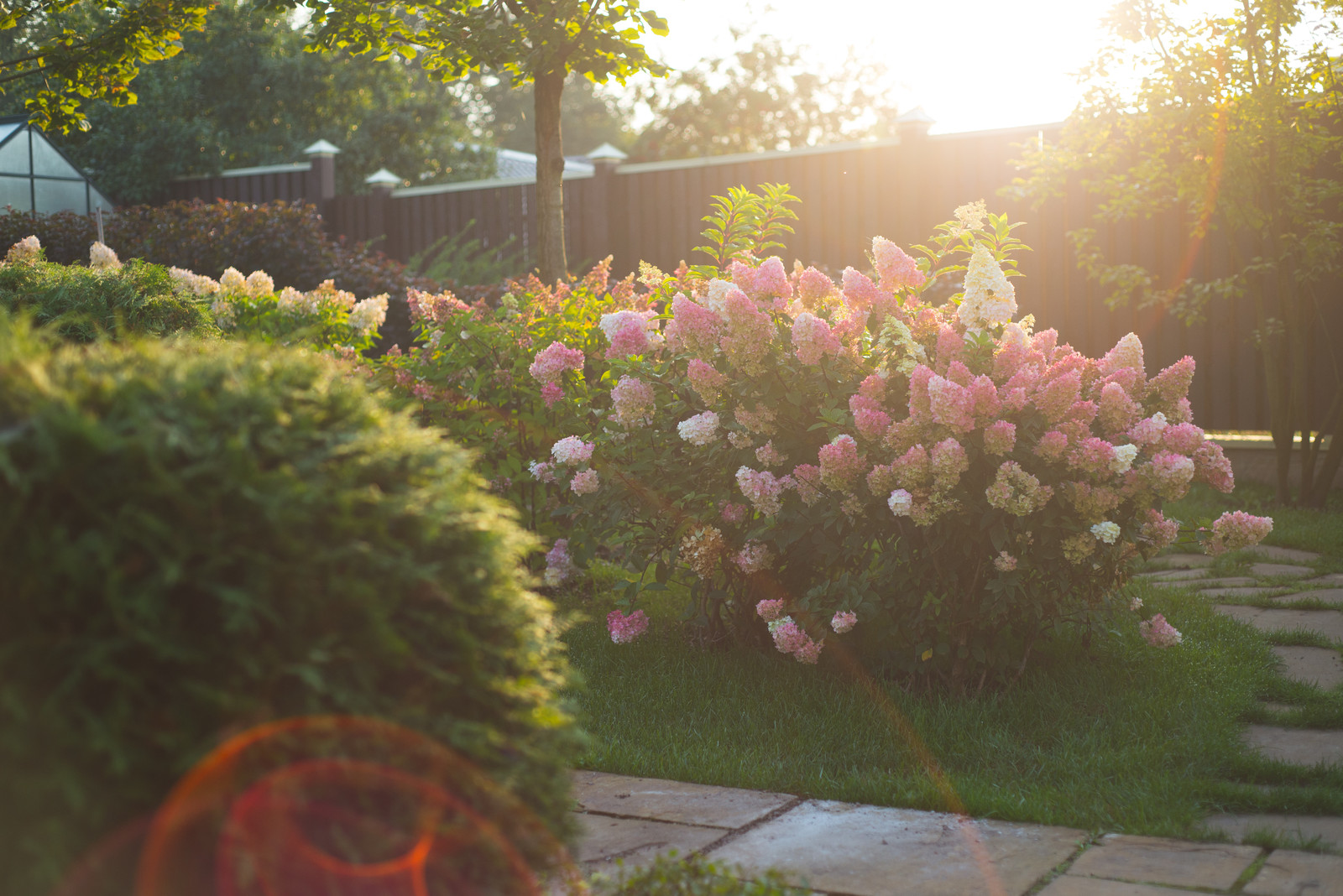 Регулярная классика