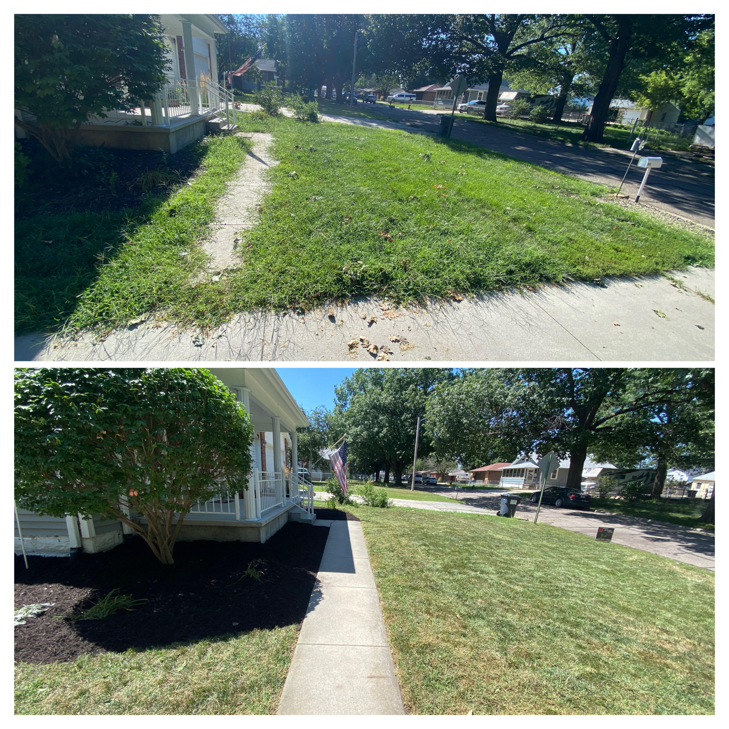 Mowing & Cleanup 1