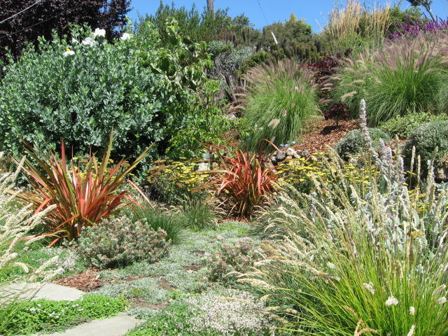 Inspiration for a contemporary landscaping in San Francisco.