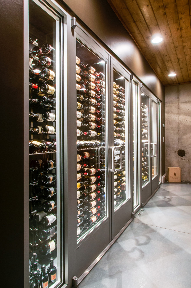 Basement contemporary wine cellar & tasting room