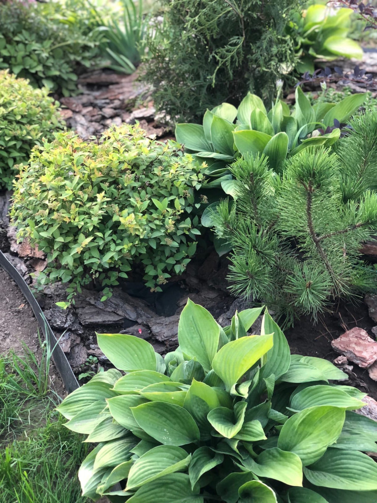 Проектирование цветников 2018-2020