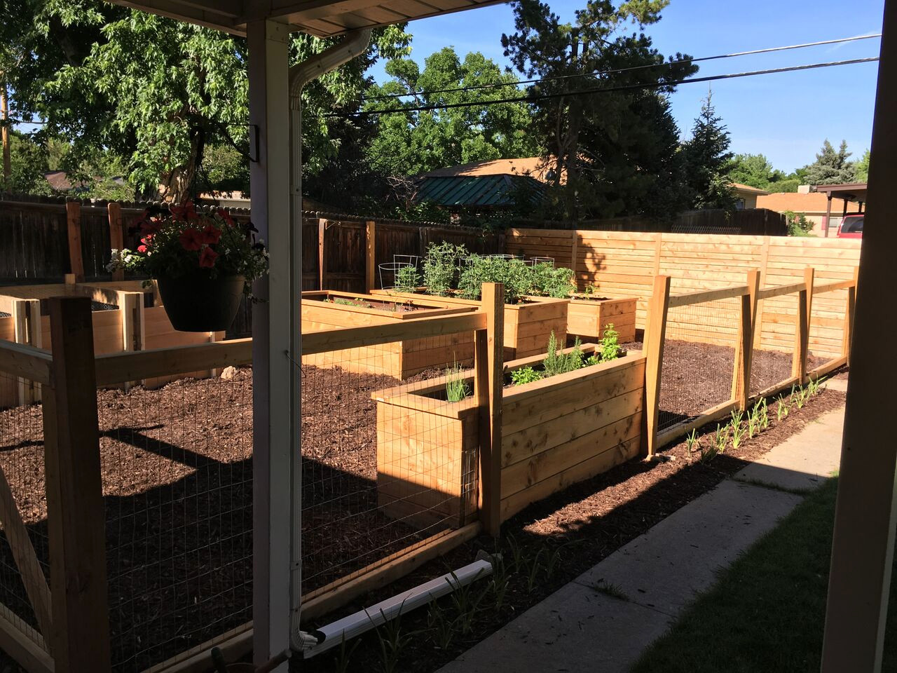 Custom Backyard Design