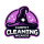 Carpet Cleaning Wizards