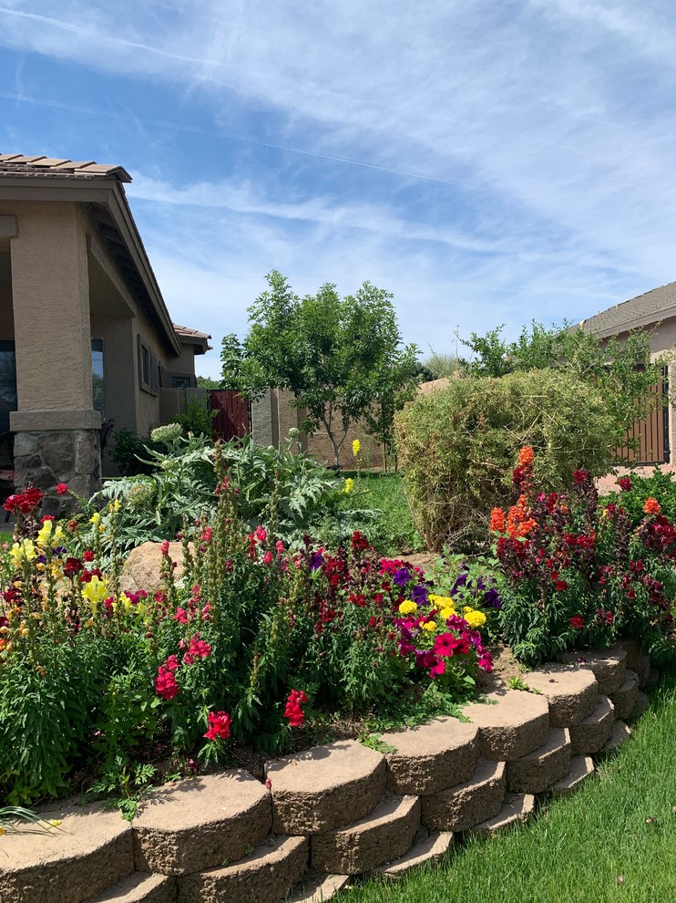 Photo of a mid-sized eclectic front yard full sun formal garden in Phoenix with a vegetable garden.