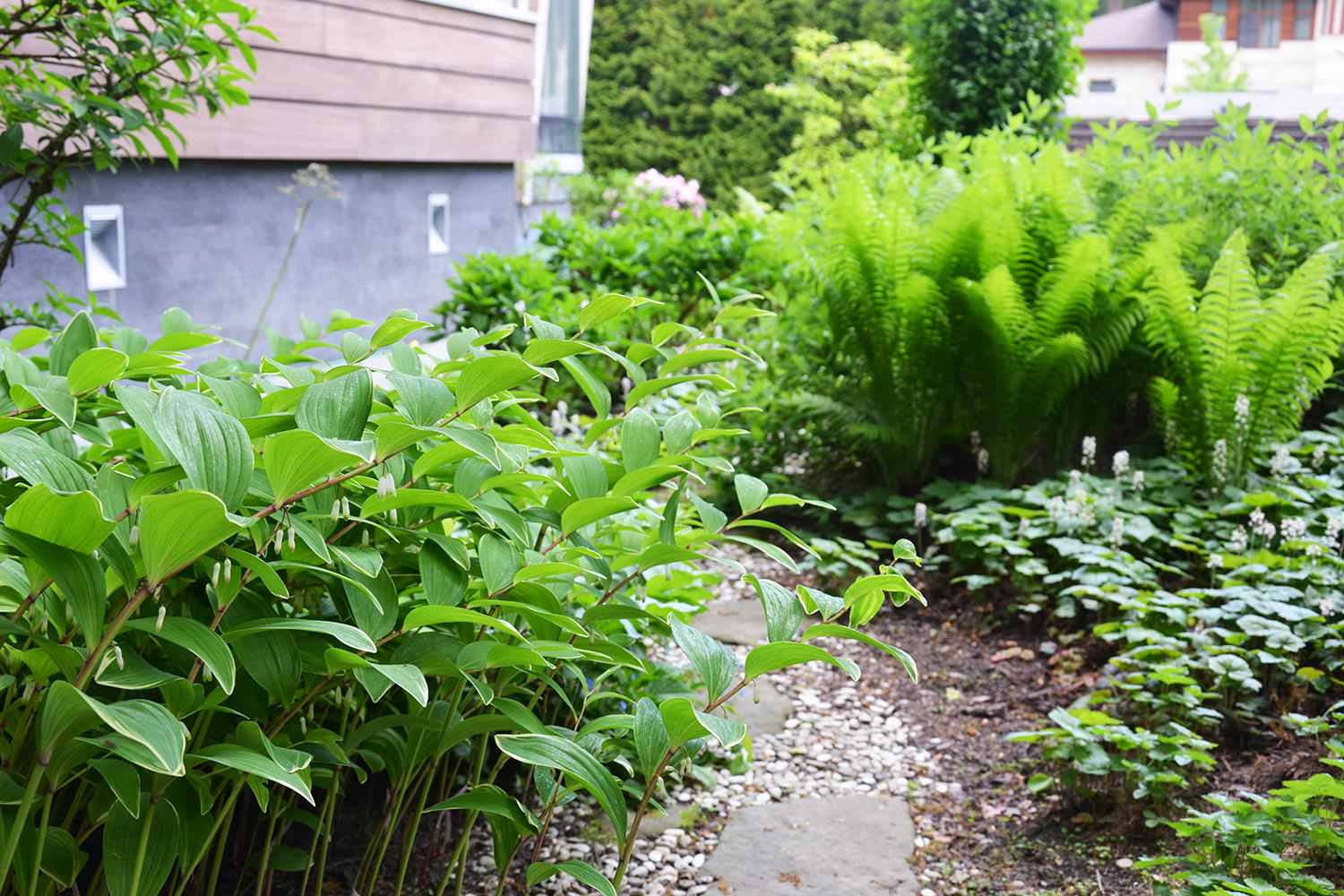 Сад с японским характером в КП Ландшафт