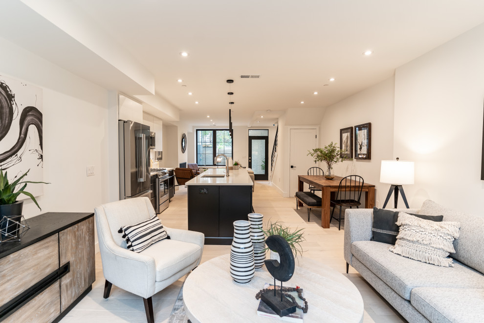 Southwest DC Duplex Renovation