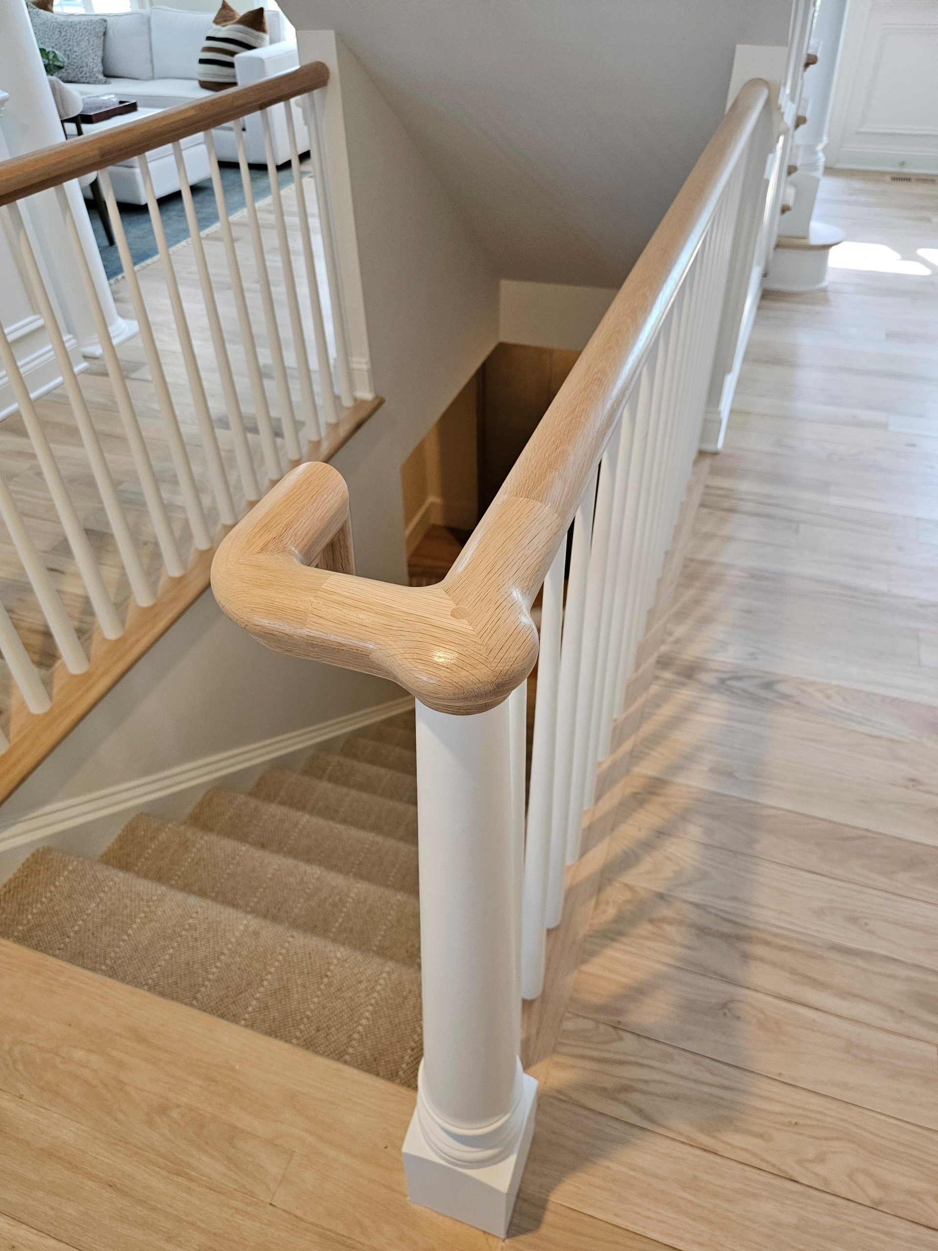 126_Sophisticated Rail Remodel, Leesburg, VA 20176