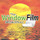 THE WINDOW FILM SPECIALISTS