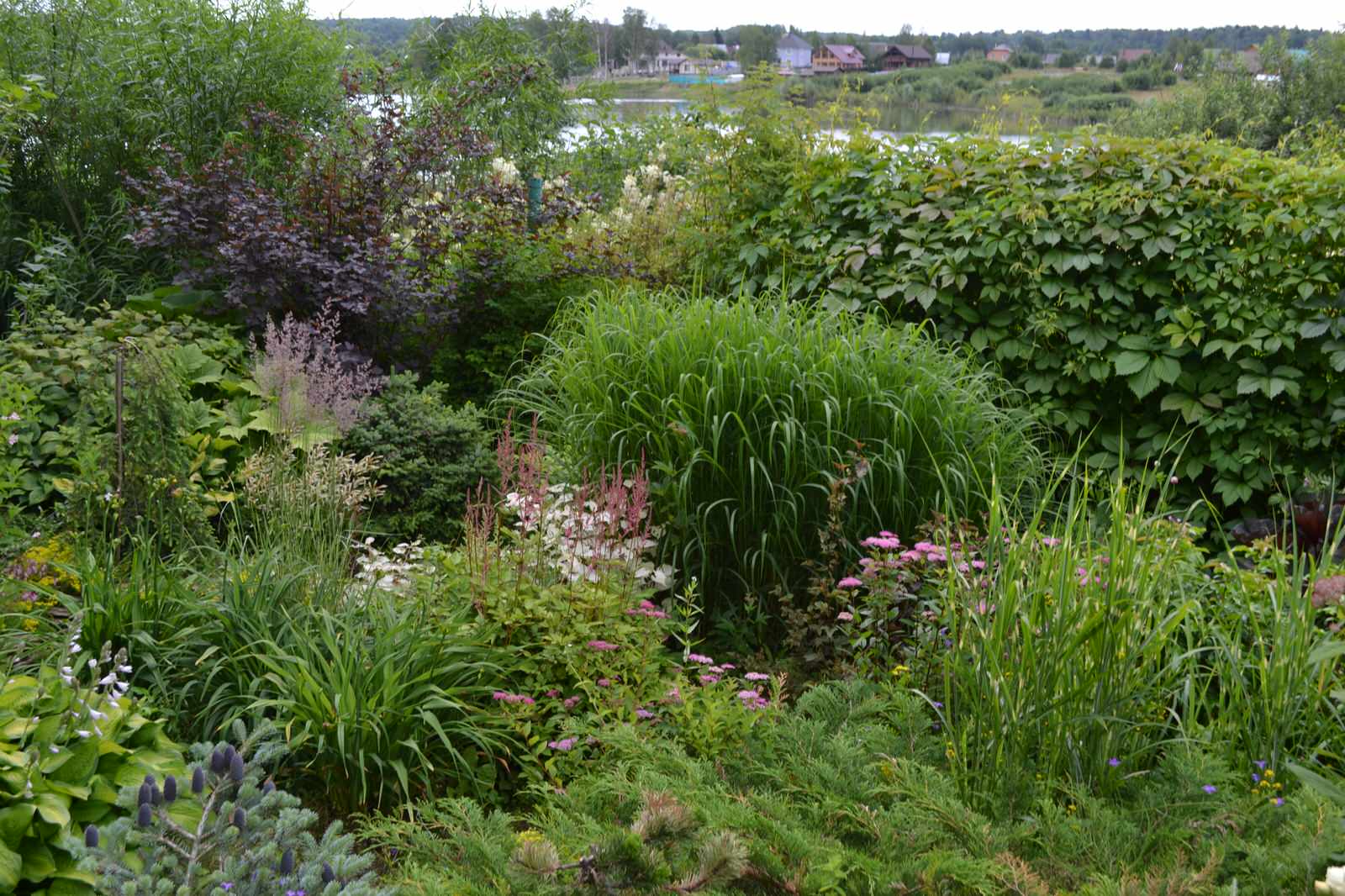 Сад  «Моя цветущая планета».