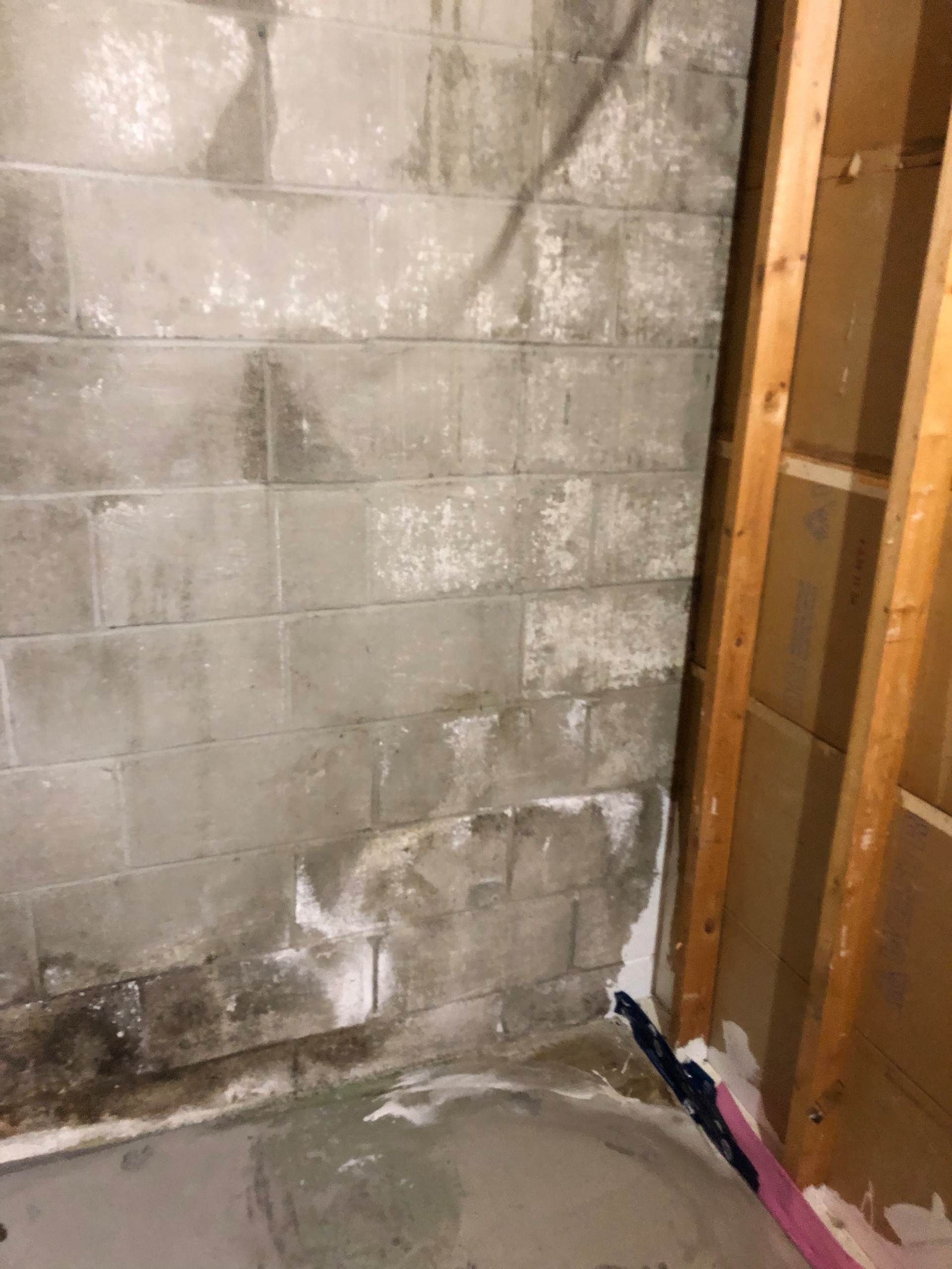 Basement bathroom 2