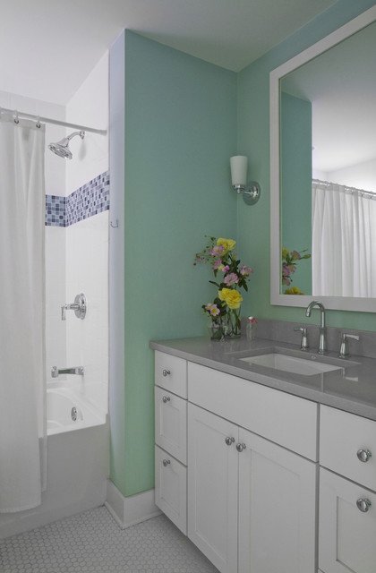 Kid's Bathroom transitional-bathroom