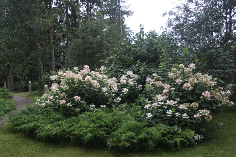 Лесная жизнь