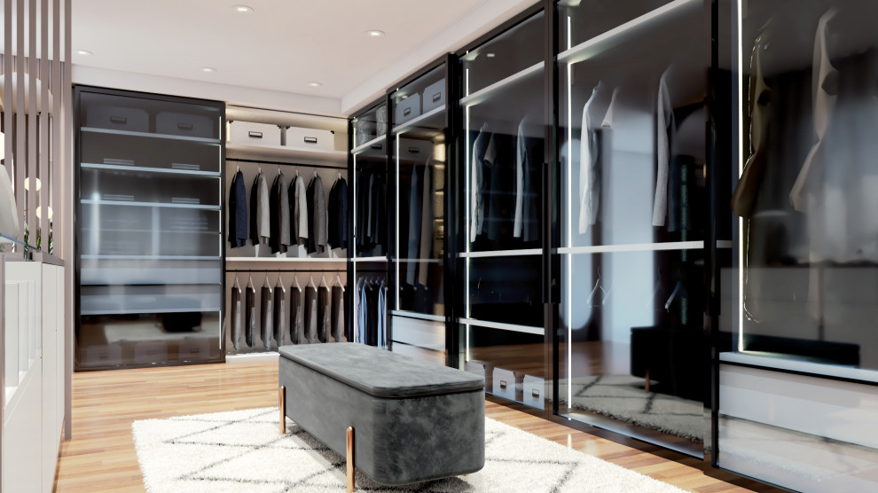 Inspiration for a mid-sized modern storage and wardrobe in Other with dark hardwood floors and brown floor.