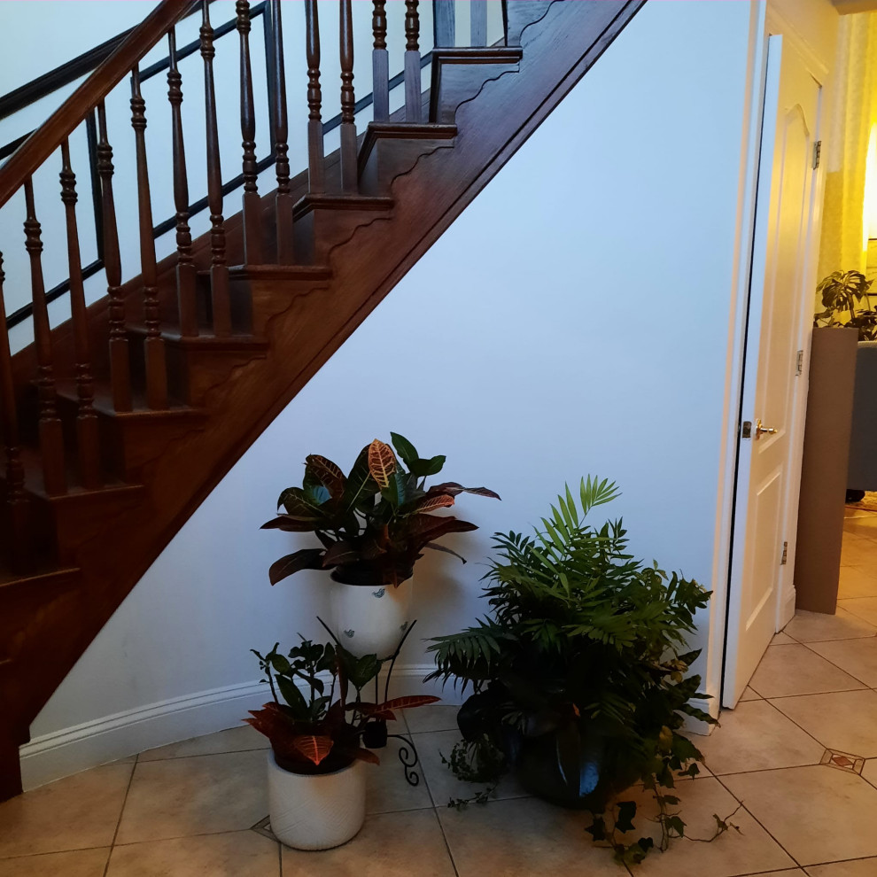 Transitional house decoration