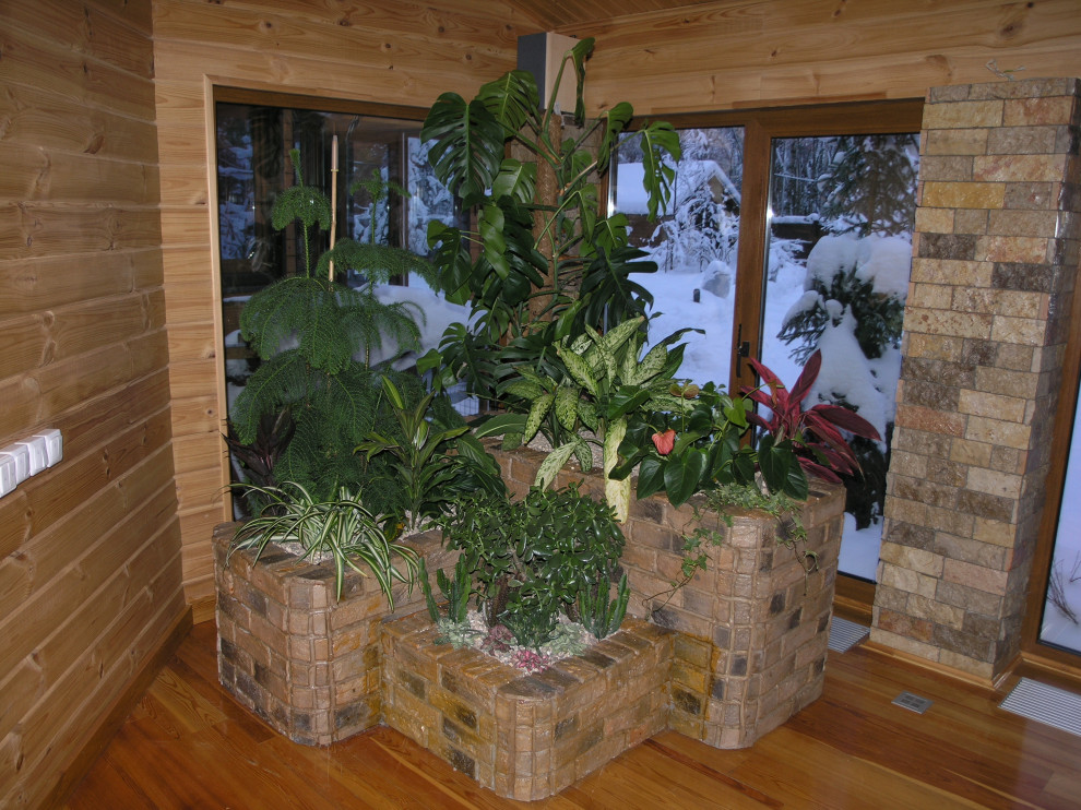 НИИ Радио. Зимний сад