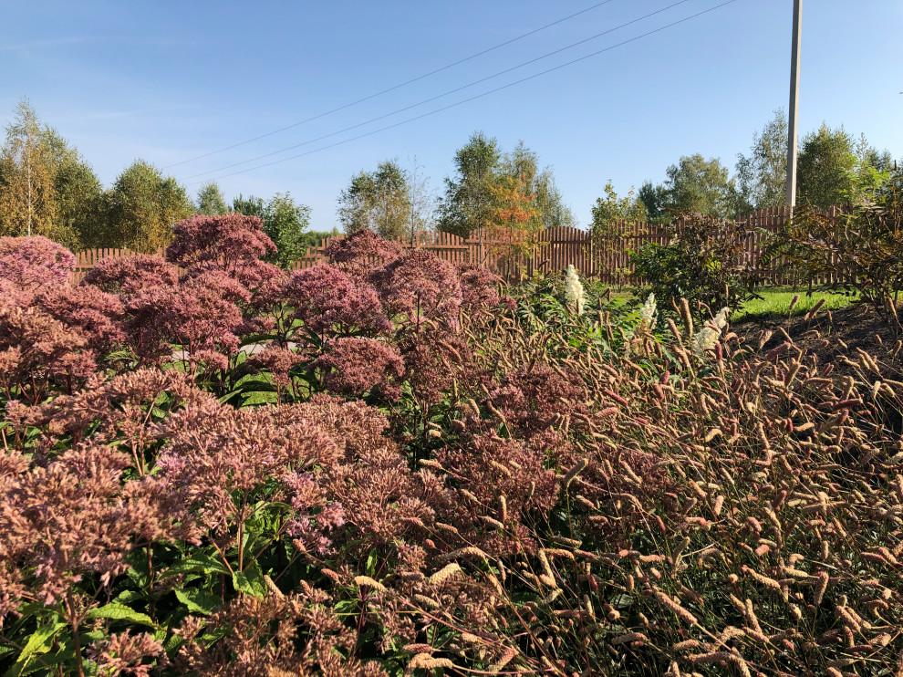 Якшино. Осень 2019