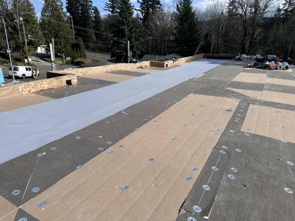 Roofing membrane TPO , PVC, Torch down & Roofing shingles.