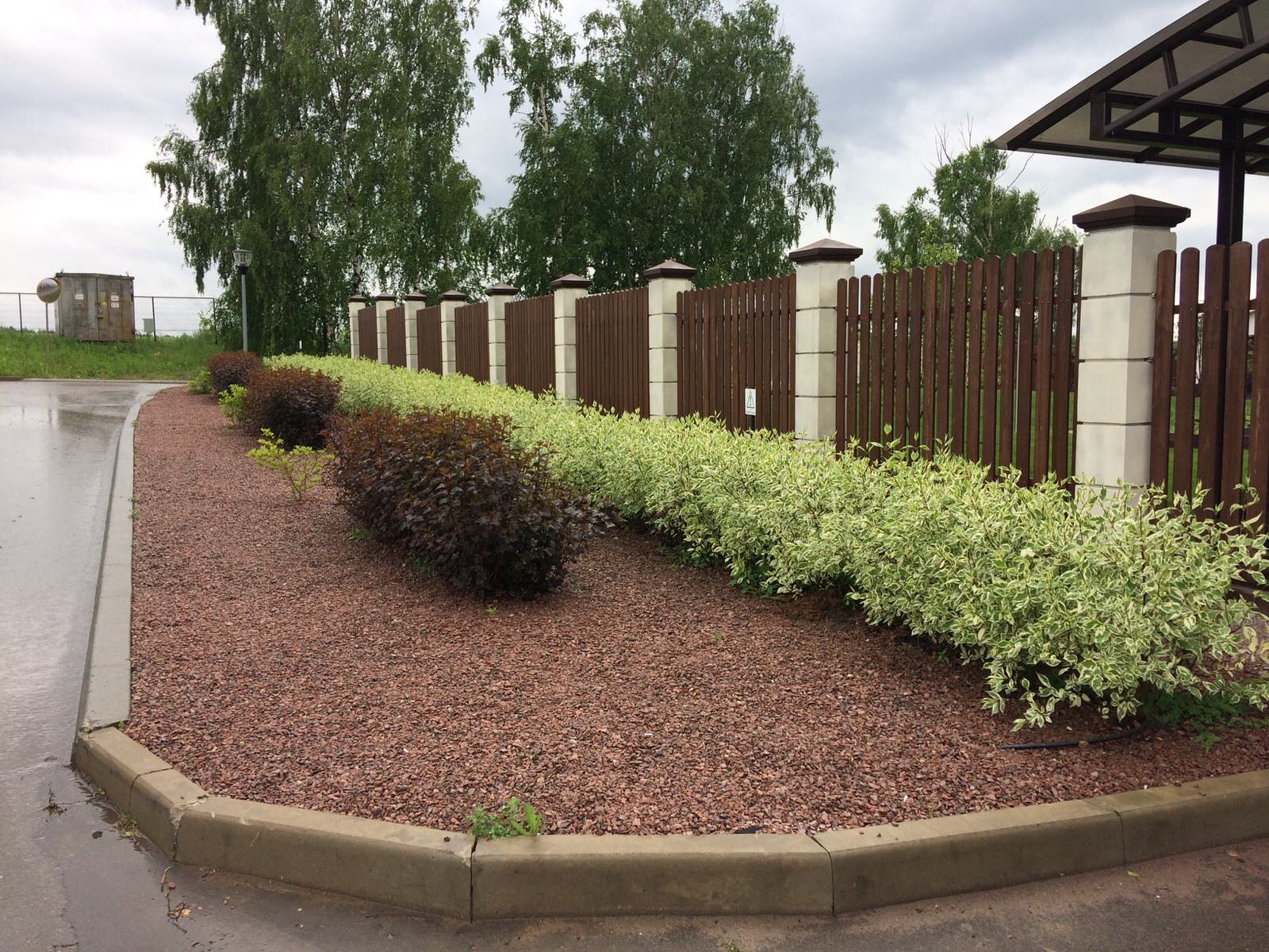 "реконструкция водоема"