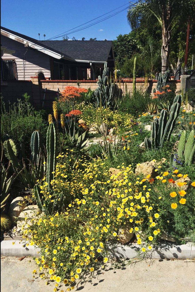 2018 Native Plant Garden Tour Landscape Los Angeles by Theodore