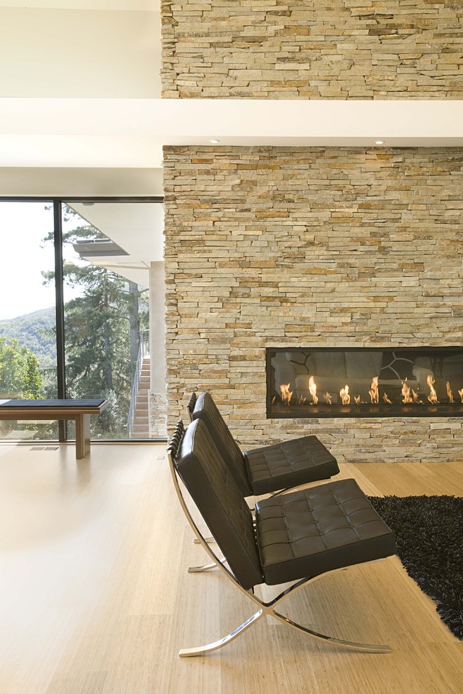 This is an example of a modern living room in San Francisco with a ribbon fireplace, a stone fireplace surround and bamboo floors.