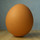 notboiled