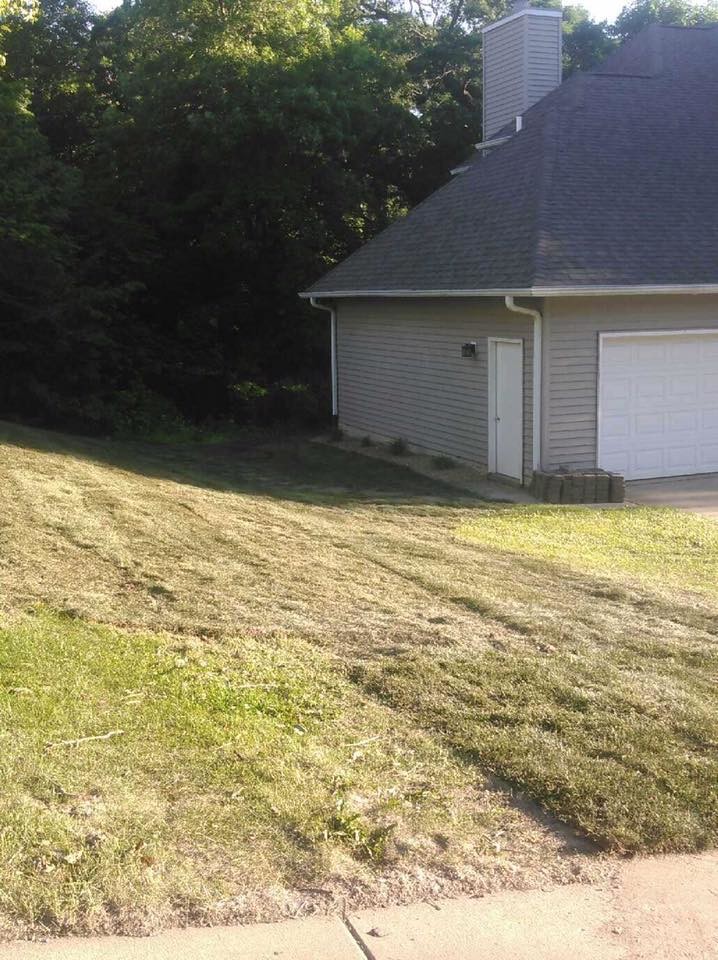 Design ideas for a front yard landscaping in Cedar Rapids.