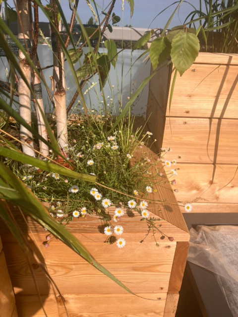 Gro&szlig;e Dachterrasse mit Hochbeeten deck
