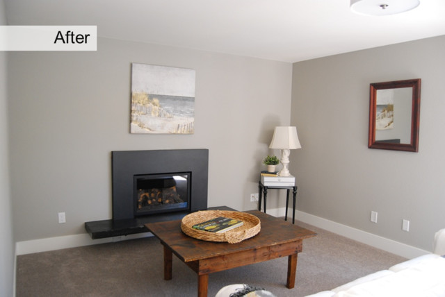 Gas Fireplace Inserts maritimt-dagligstue