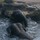 tanya_walsh