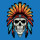 Native Boyz Construction