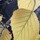 michelle_williams410