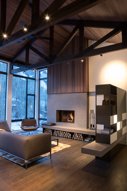 Warm Springs Remodel modern-wohnbereich