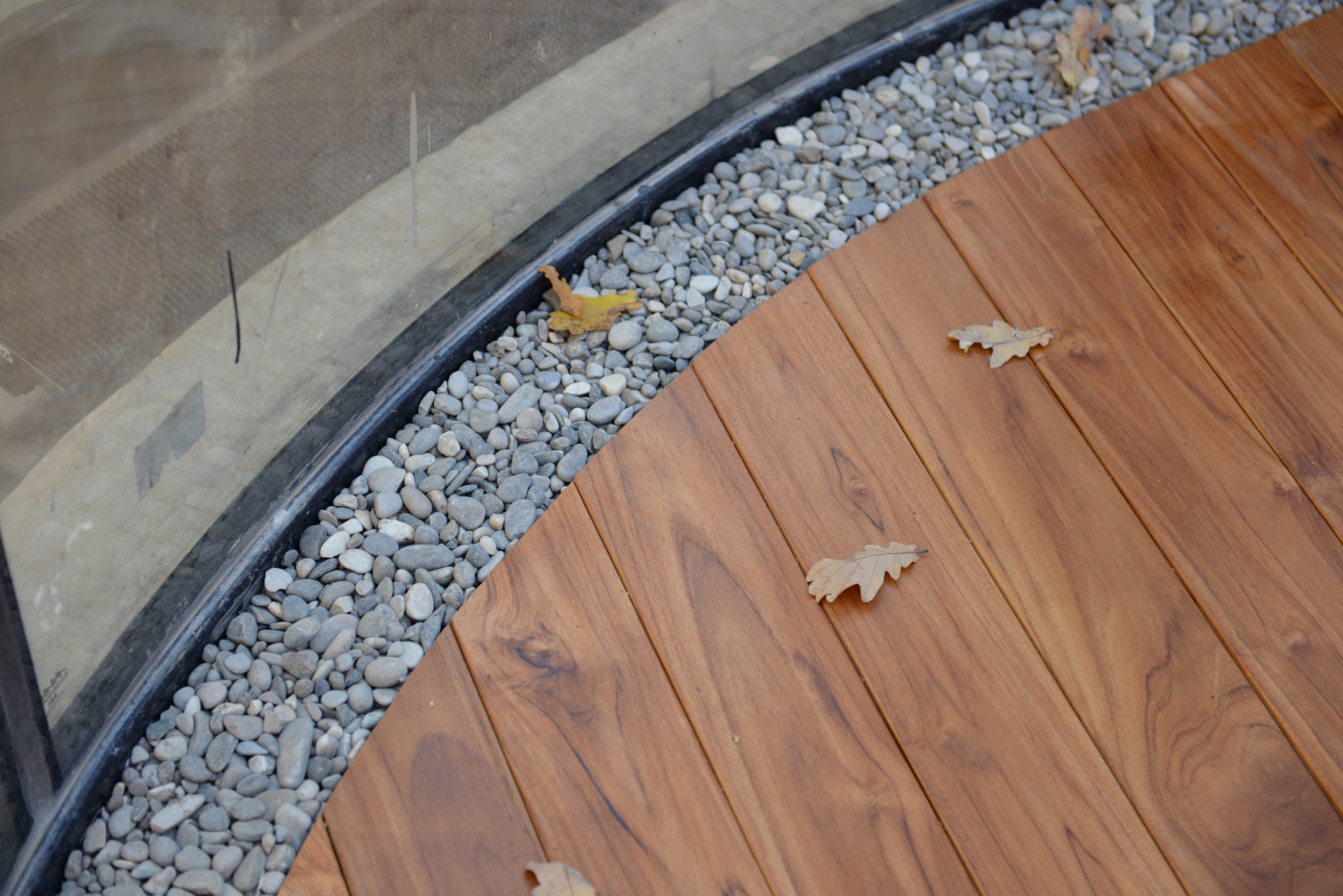 Бионический дом