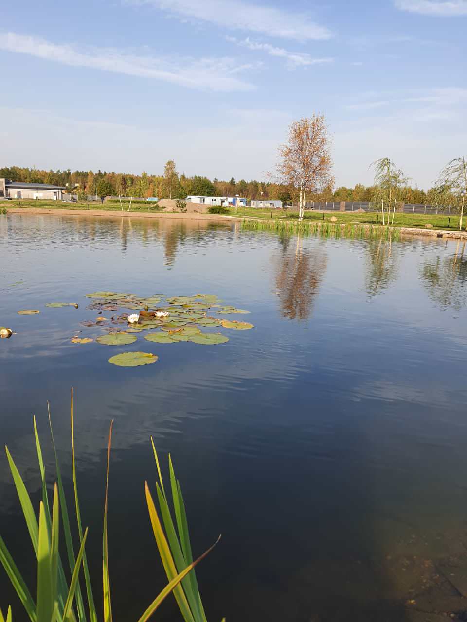 Декоративный водоём в п. Репино (Лен. обл.)