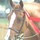 carrie_gregory64