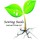 Sowing Seeds LLC, Landscape & Design