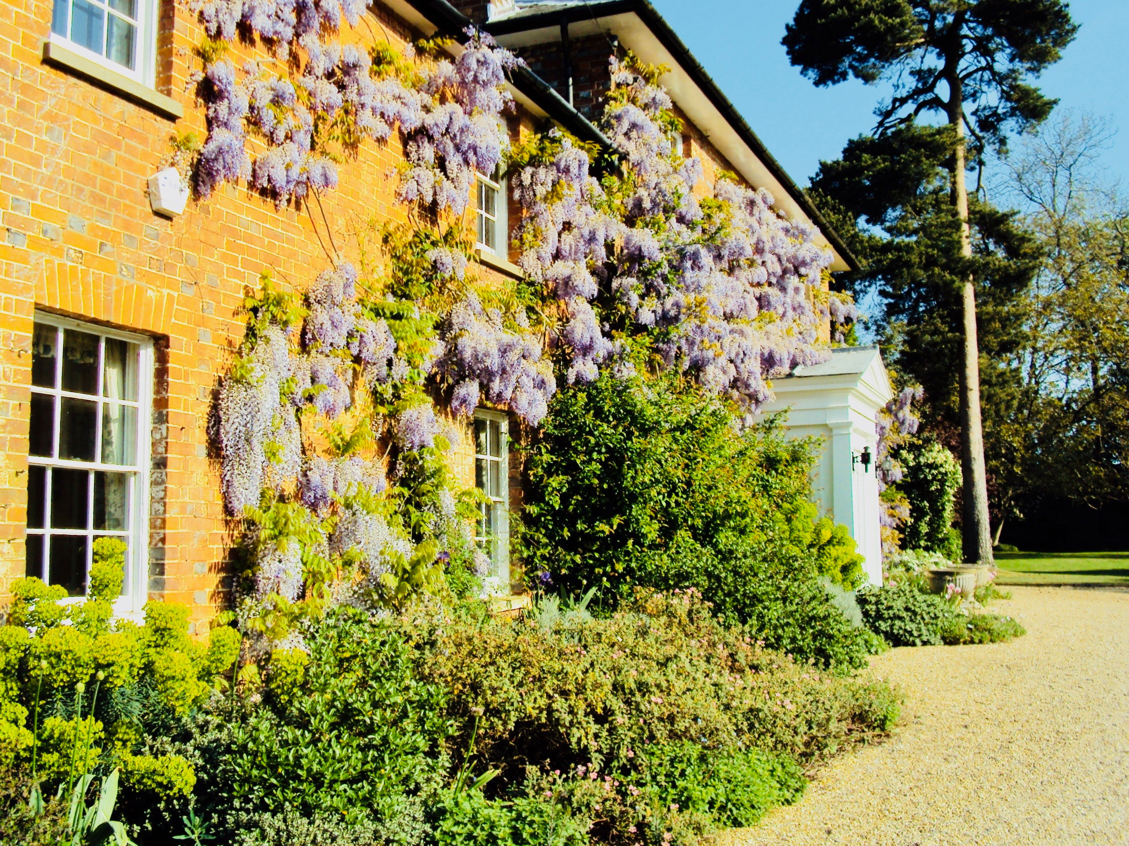 Large Country Garden