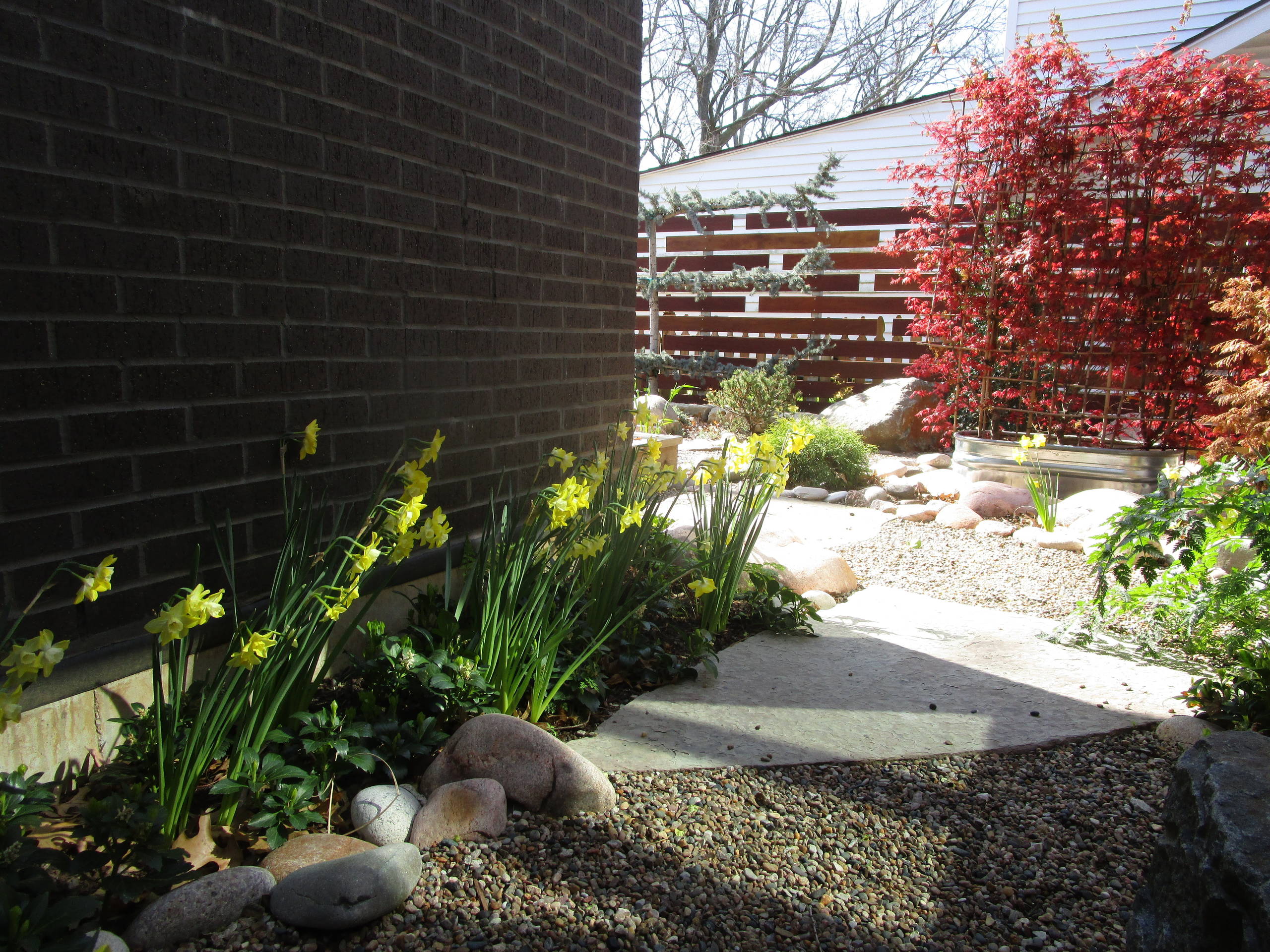 Westwood Contemporary Home Landscape